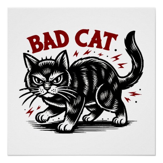 Poster Mauvais Chat (Devant)