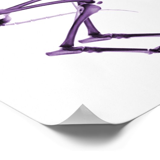 Poster Mauvais Chien Xray Squelette blanc pourpre (Coin)