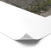 Poster Mauvaise journée des cheveux (Coin)