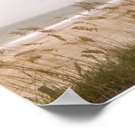 Poster mauvaises herbes (Coin)