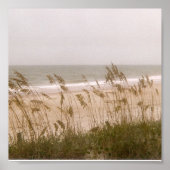 Poster mauvaises herbes (Devant)