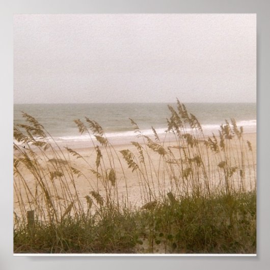 Poster mauvaises herbes (Devant)