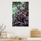 Poster mauvaises herbes en rouge et vert (Cuisine)