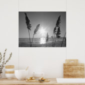 Poster Mauvaises herbes noires et blanches (Cuisine)