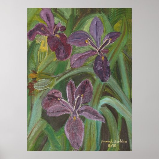 Poster Mauve LA Iris (Devant)