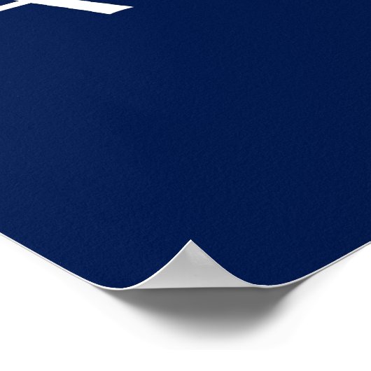 Poster Maverick/Sarahcuda '08 (Coin)