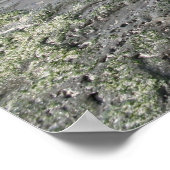 Poster Mavericks (Coin)