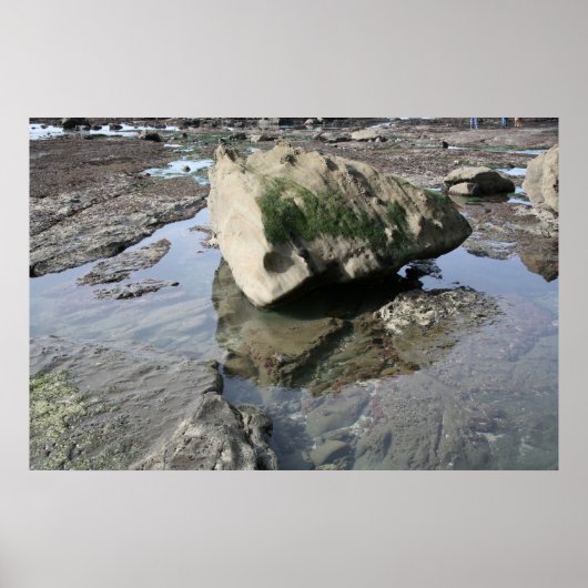 Poster Mavericks (Devant)