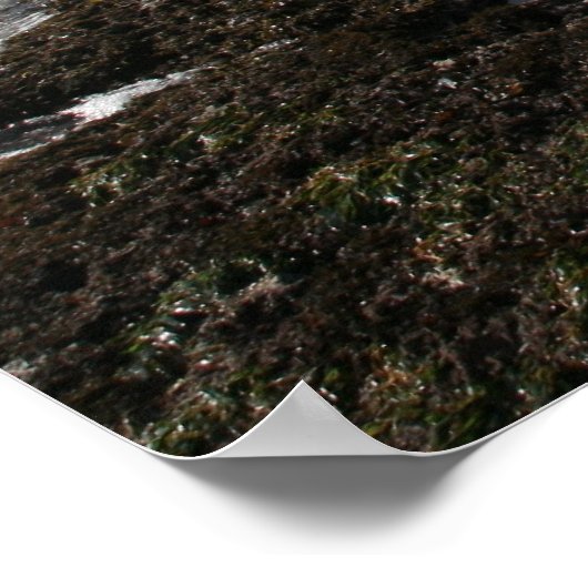 Poster Mavericks (Coin)