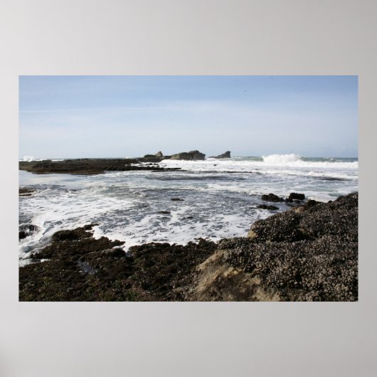 Poster Mavericks (Devant)