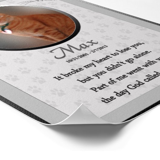 Poster Max - Cat Memorial (Coin)