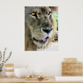 Poster Maximus (Cuisine)