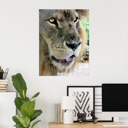 Poster Maximus (Bureau à domicile)