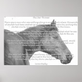 Poster Maxx Starfish (Devant)