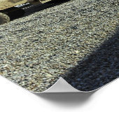 Poster MaxxPro (Coin)