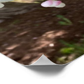 Poster May Flowers Pink Rejoice Always (Coin)