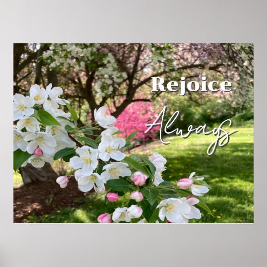 Poster May Flowers Pink Rejoice Always (Devant)