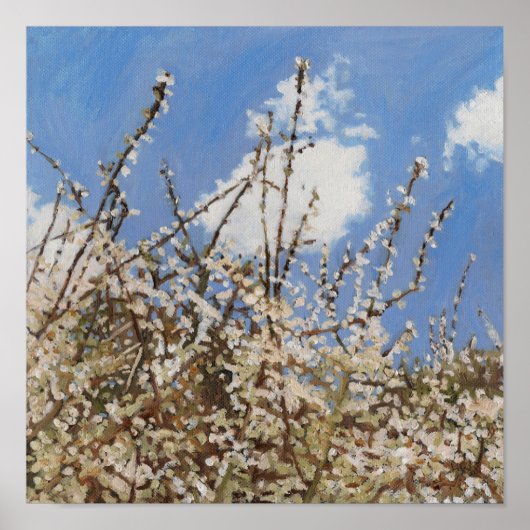 Poster Mayflower 2012 (Devant)