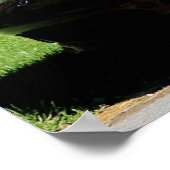 POSTER MAZDA MIATA (2000) ÉDITION SPECIAL (Coin)