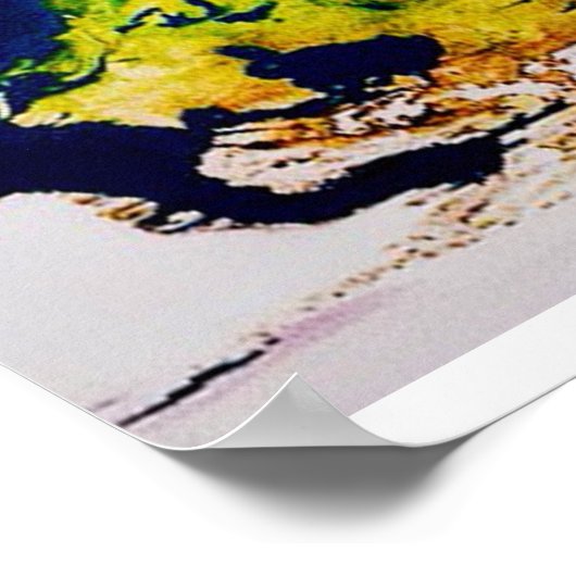 Poster McArthur's New WorldMap (Coin)