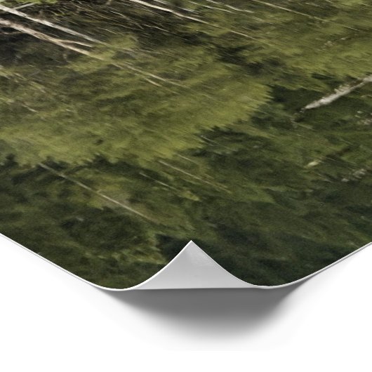 Poster McCall Pond (Coin)