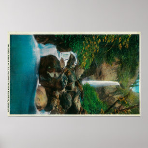 Poster McCord Creed Falls sur Columbia River