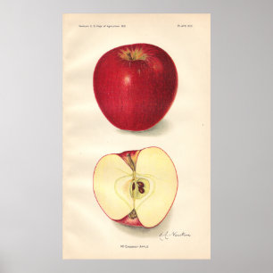 Poster McCroskey Apple