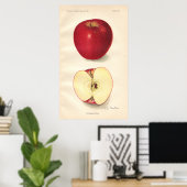 Poster McCroskey Apple (Thuiskantoor)