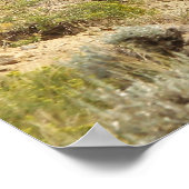 Poster McCullough Peaks Cheaks sauvages (Coin)