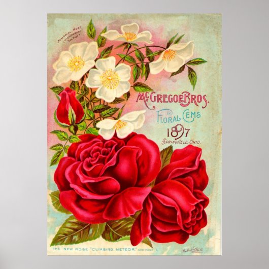 Poster McGregor Bros. Publicité Floral Gems (Devant)