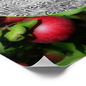 Poster McIntosh Apples Nature Frame Créer Votre Propre Ph (Coin)