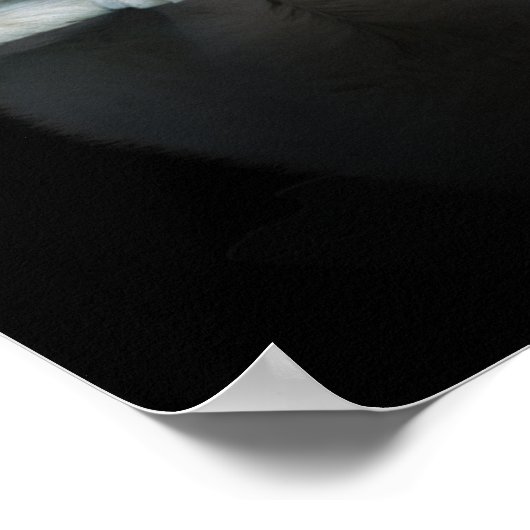 Poster Me méprendrez-vous ? (Coin)