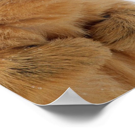 Poster Me Parles-tu ? (Coin)