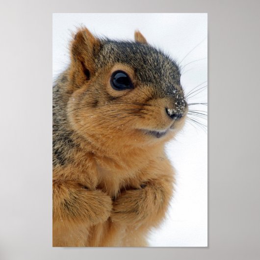 Poster Me Parles-tu ? (Devant)