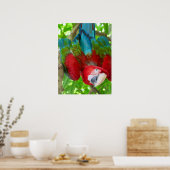Poster Me regardez-vous? (Cuisine)