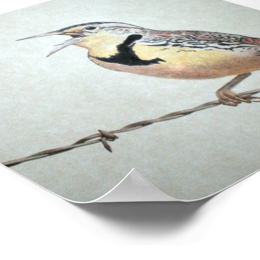 Poster Meadowlark (Coin)