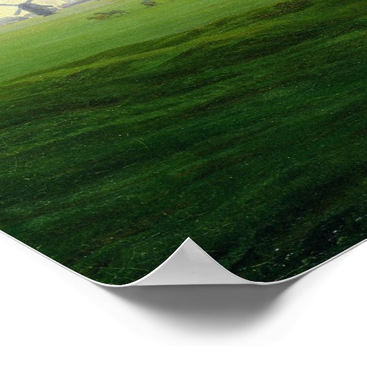 Poster Meadows près de Greifswald (Coin)