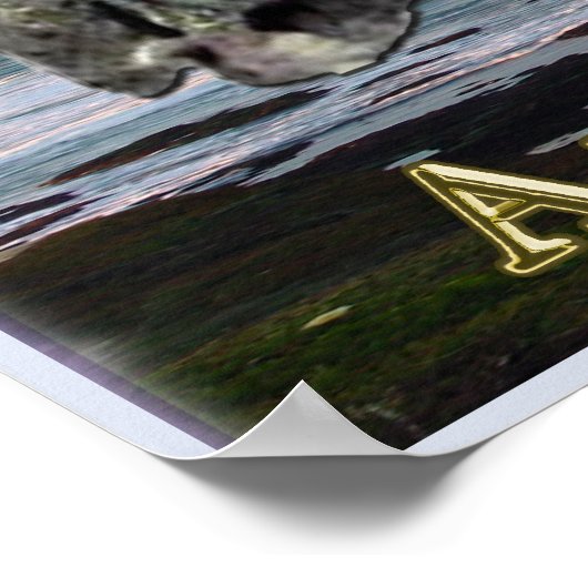 Poster Mécanisme antikythèque (Coin)