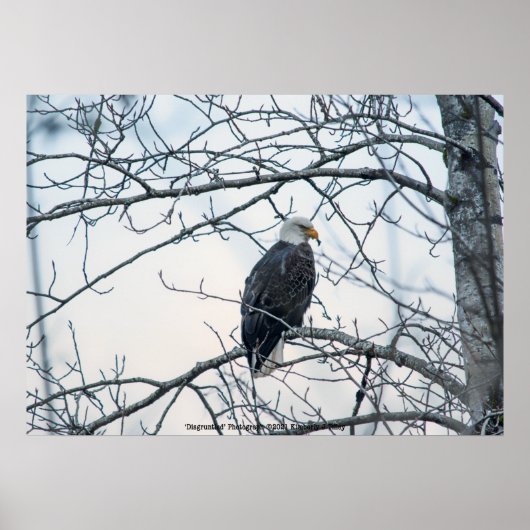 Poster mécontent (Devant)