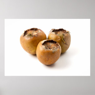 Poster Médaillé commun