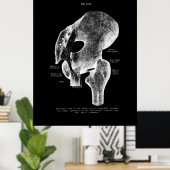 Poster Médicale de l'anatomie de la hanche (Bureau à domicile)