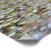 Poster Médicis FOuntain (Coin)