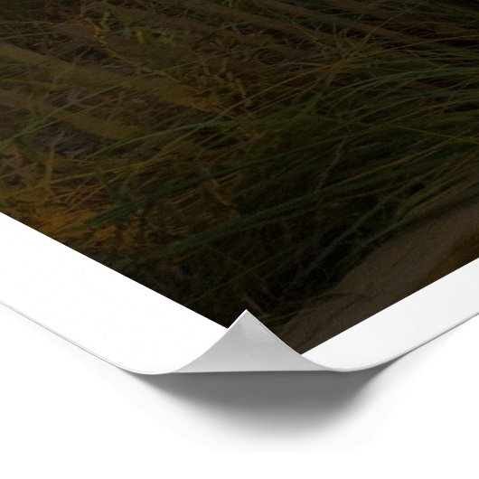 Poster Méditation (Coin)