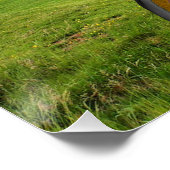 Poster Méditation de Stonehenge (Coin)