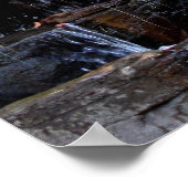 Poster Méditer la Gorille du dos argenté (Coin)