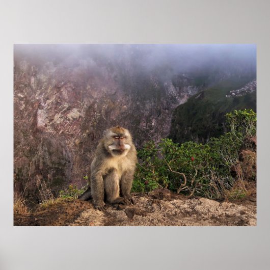 Poster Méditer Macaque dans la fosse (Devant)