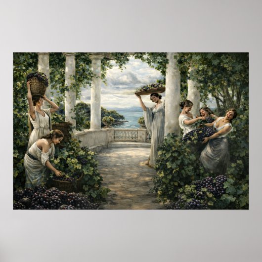 Poster Mediterranean Vineyard Grape Harvest (Devant)