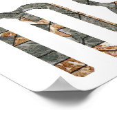 Poster Medusa (Coin)