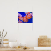 Poster Méduse (Cuisine)