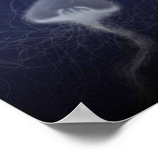 Poster méduse (Coin)